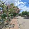 Calle Warnes