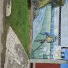 Old mural on Calle 24 de Septiembre and Calle Camacho (2)