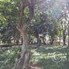 Plaza de Barrio Obrero at Calle San Jose Obrero and Calle Camacho
