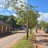Robore