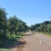 Calle Picana