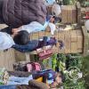 Calle Sucre (10)