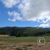 Soccer field