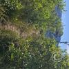 View from a hill above the town (8)