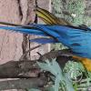 Wild animal refuge (20)