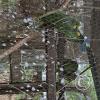 Wild animal refuge (25)