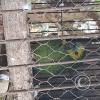 Wild animal refuge (26)