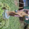 Wild animal refuge (27)