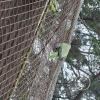 Wild animal refuge (33)
