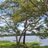 Parque de la Represa Guapomo (5)