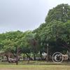 Plaza Principal (2)