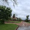 Street scene (10)