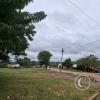 Street scene (14)