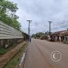 Street scene (18)