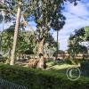 Plaza Principal along Av Ciro Mealla (3)