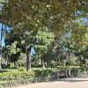 Plaza Principal along Av Ciro Mealla (7)