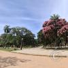Plaza Chiquitana (9)