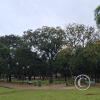 Plaza Principal (16)