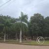 Plaza Principal (17)