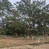 Plaza Principal (9)
