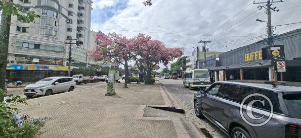 Av Monsenor Rivero and Calle Castelnau