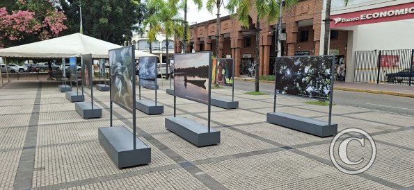 Manzana Uno Espacio de Arte (6)