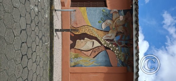 Mural on Calle Warnes at Calle Tarija
