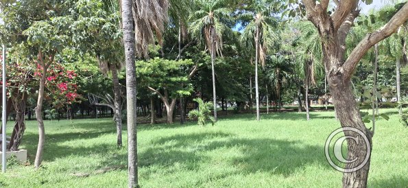 Parque Urbano at Calle Capitan Arrien and Av Argentina (3)