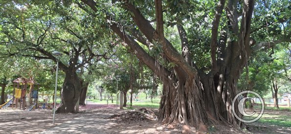 Parque Urbano at Calle Capitan Arrien and Av Argentina (7)