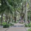Plaza Metropolitana (4)