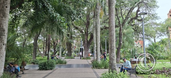 Plaza Metropolitana (4)