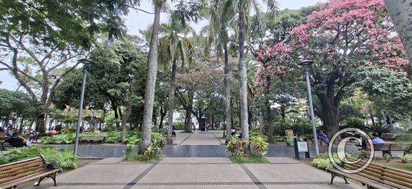 Plaza Metropolitana