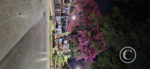 Plazuela Callejas at Calle Warnes and Calle Cobija (2)