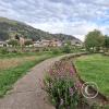 Parque Agricultura at Calle Los Cetaceos and Jiron Los Amarantus (2)