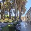 Cementerio General (11)