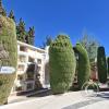 Cementerio General (7)