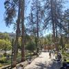 Parque Libertador Simon Bolivar