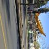Av Las Americas (6)