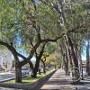 Av Las Americas (7)