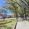 Av Las Americas (9)