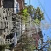 Calle Ciro Trigo