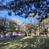 Jardinera Las Americas (2)