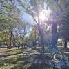 Jardinera Las Americas