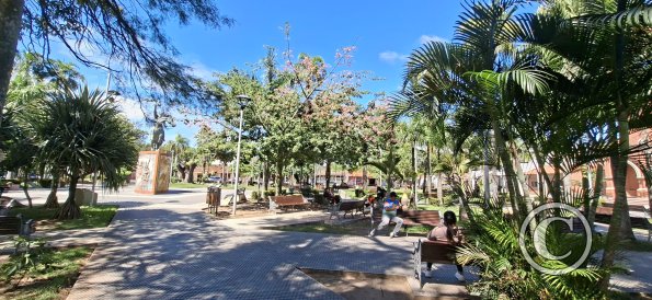 Plaza Central at Calle Bolivar and Calle Romulo Heredia (3)