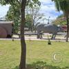 Rotonda Sur