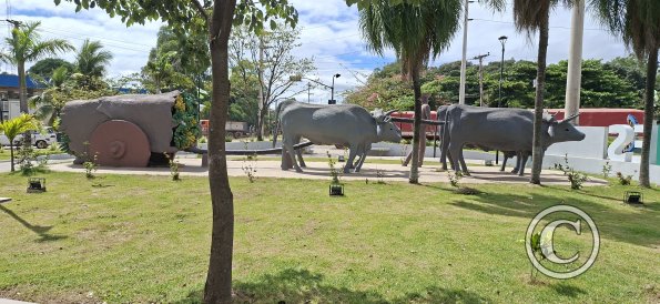 Rotonda Sur