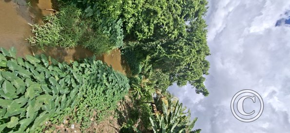 Calle Junin at the creek