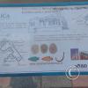 Calle Yungay y Calle Cristobal Colon (2)