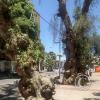 Plaza de Armas (2)