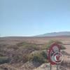The Atacama desert between Antofagasta and Taltal (4)